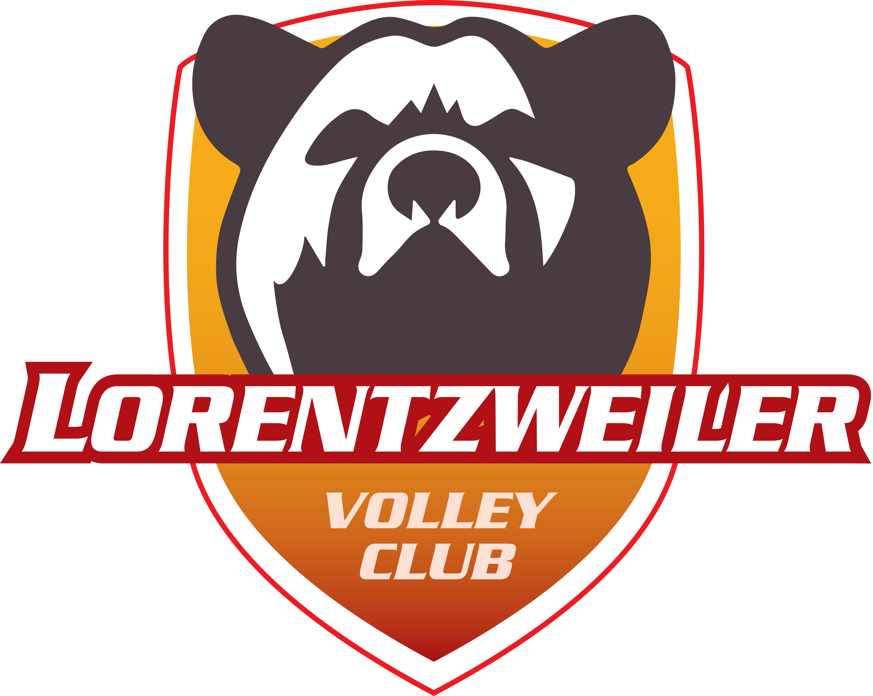 VLC lorentzweiler volley logo